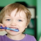 متخصص دندانپزشک کودکان کاشان | تعداد دفعات مسواک زدن کودکان در روز چقدر است ؟