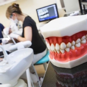 انواع پیوند استخوان دندان | متخصص دندانپزشک کودکان کاشان